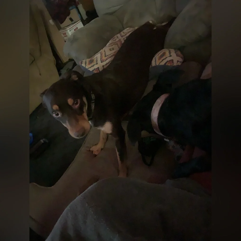 Still here! - Picture 2 of 12